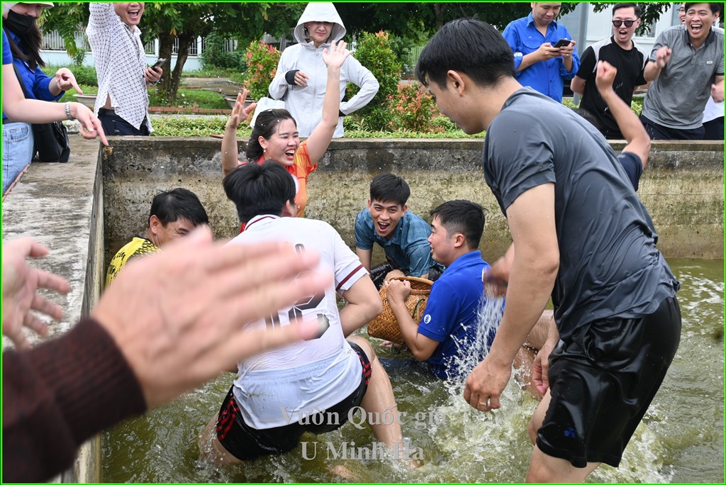 Trò chơi bắt cá tại Vườn quốc gia U Minh Hạ