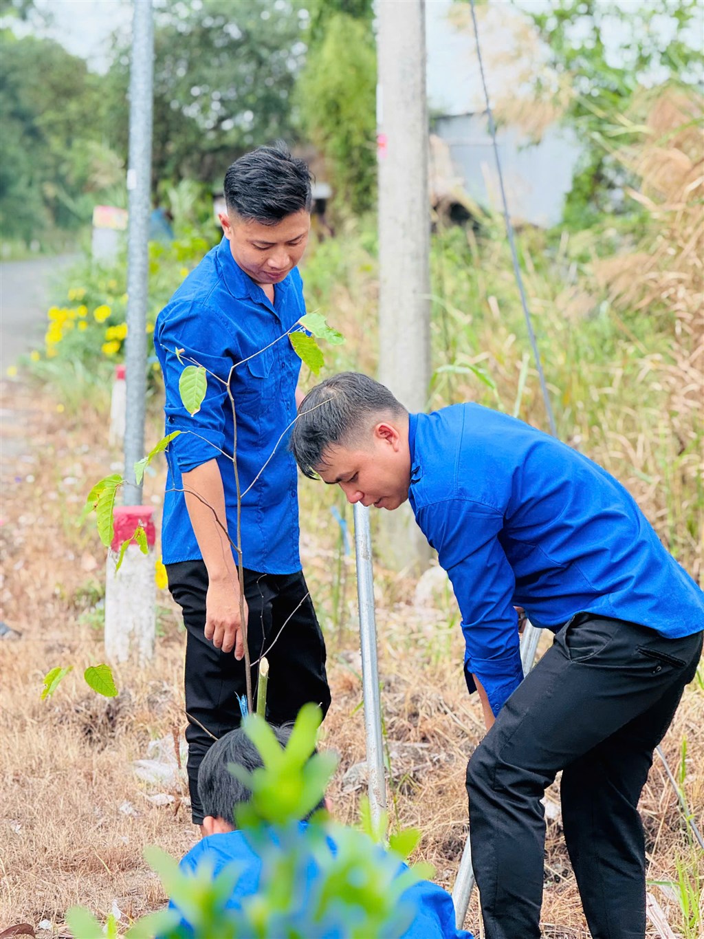 Chi đoàn VQG U Minh Hạ trồng hàng rào cây xanh