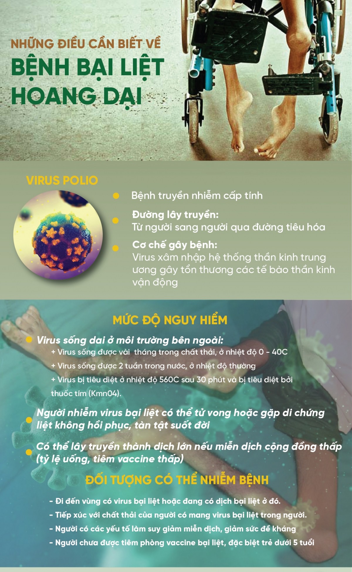 Tăng cường truyền thông, giám sát phòng, chống bệnh bại liệt