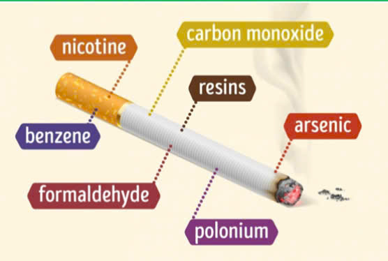 Nicotine – Chất gây nghiện trong thuốc lá