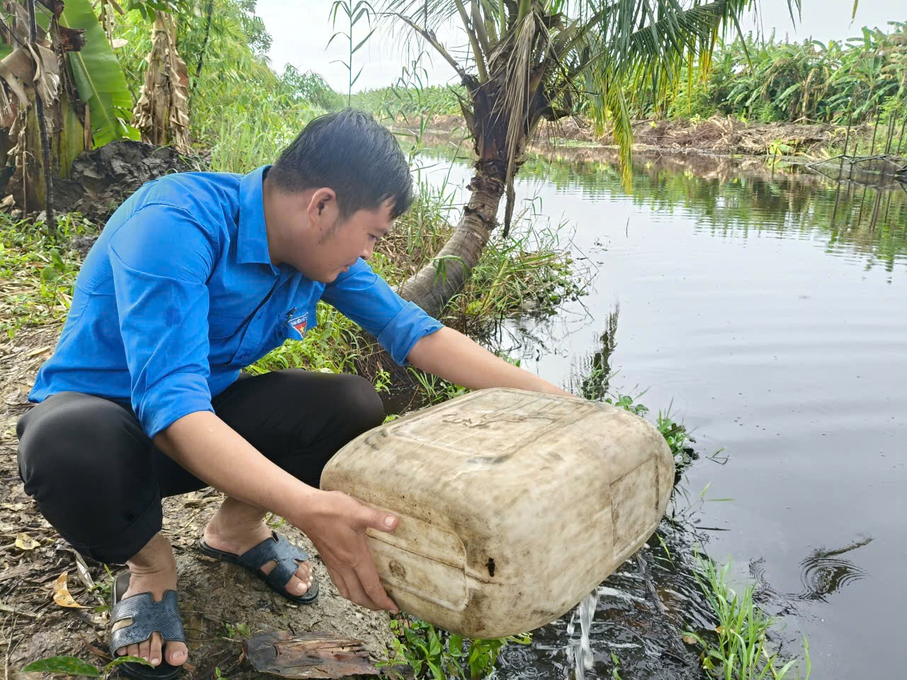 anh tin bai
