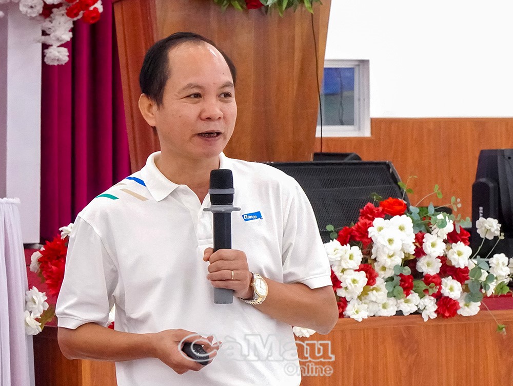 anh tin bai
