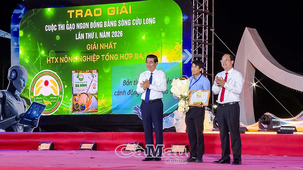 anh tin bai