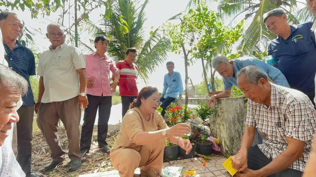 anh tin bai