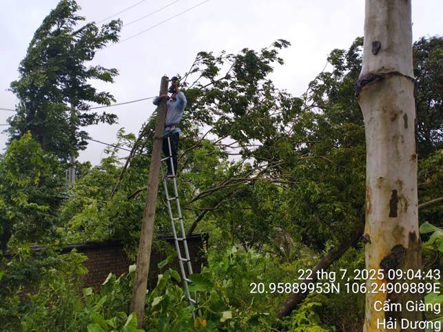 A person climbing a pole

AI-generated content may be incorrect.