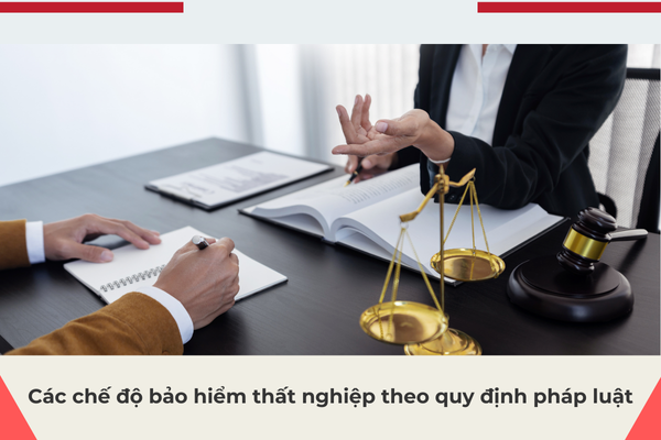 Các chế độ bảo hiểm thất nghiệp theo quy định pháp luật.