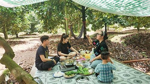 Unique Durian Garden of Ms. Thao
