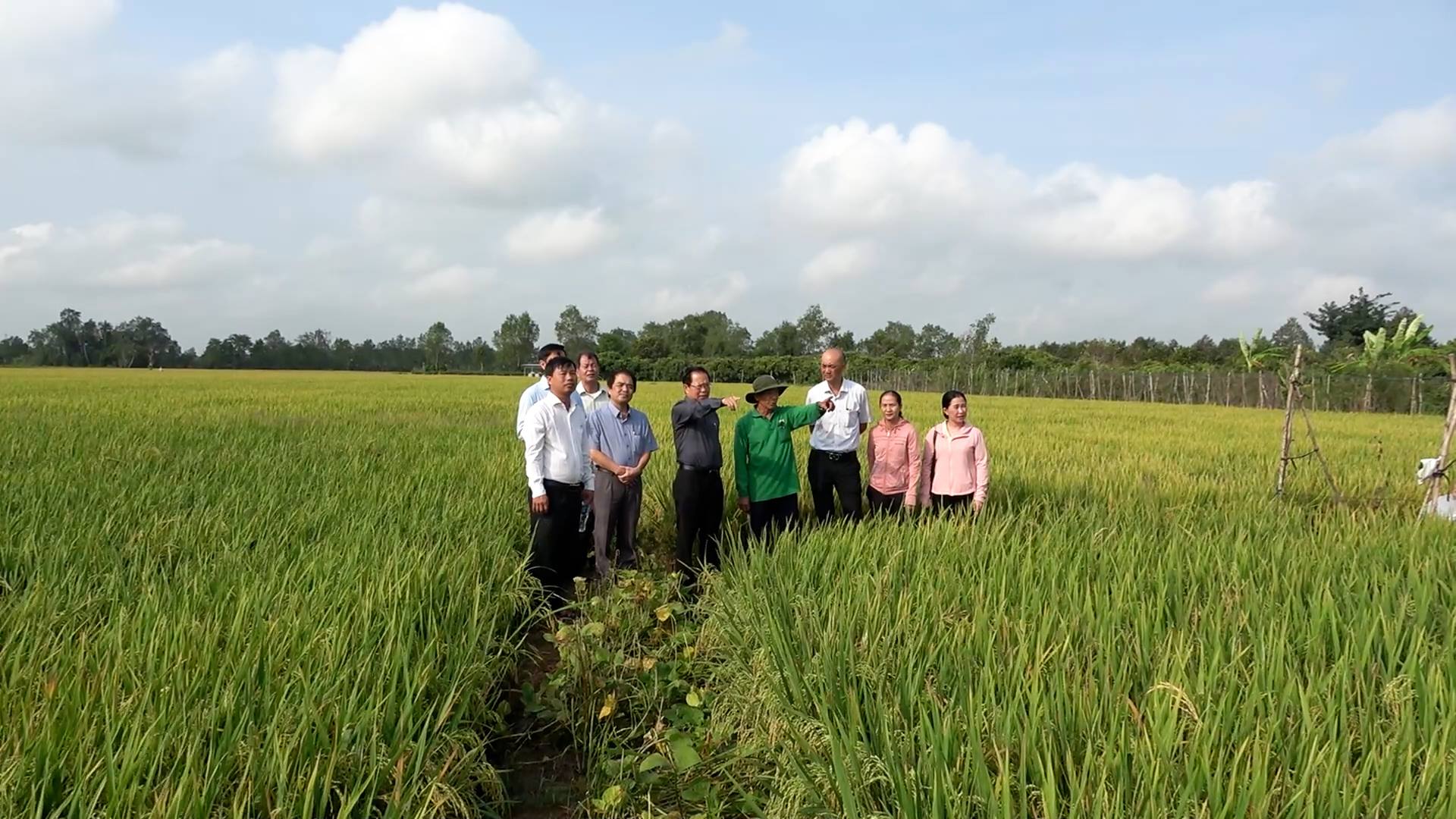 BÍ THƯ ĐẢNG ỦY PHƯỜNG Ô MÔN KHẢO SÁT TÌNH HÌNH SẢN XUẤT VỤ LÚA ĐÔNG XUÂN