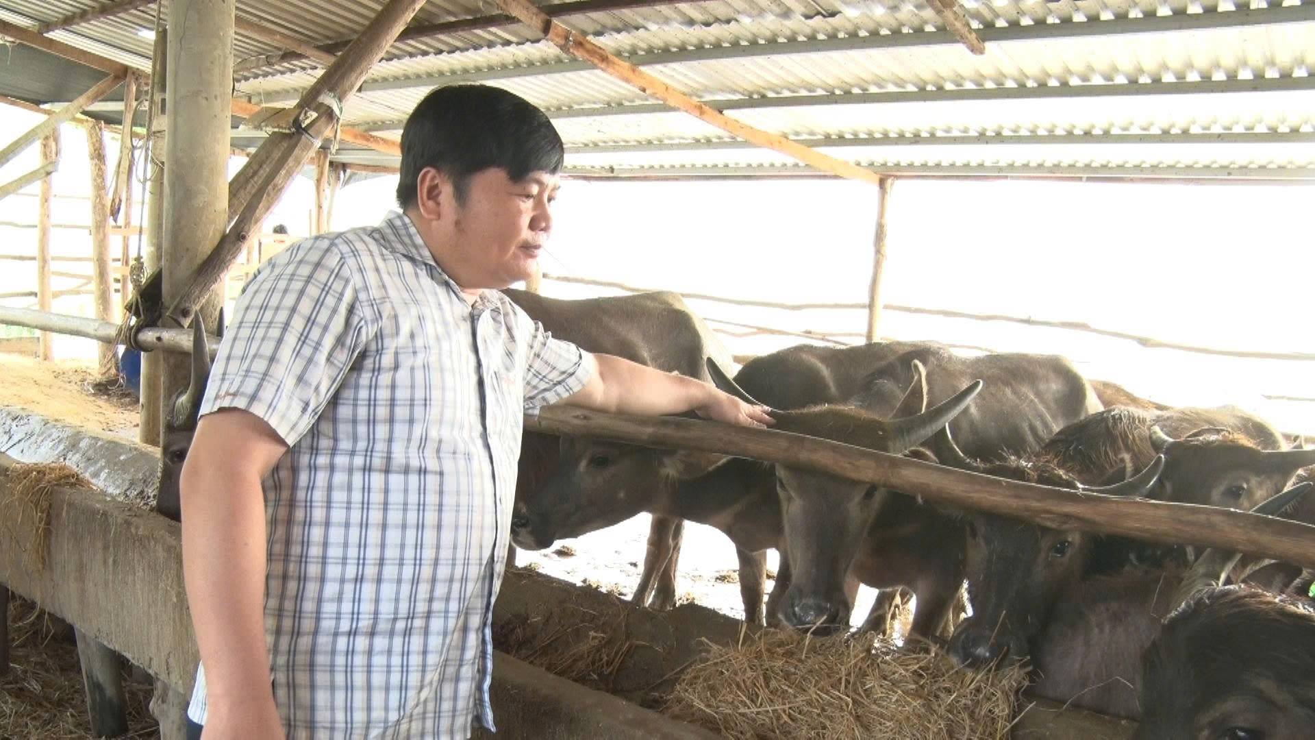 XÃ LƯƠNG TÂM SÔI NỔI CÁC HOẠT ĐỘNG THI ĐUA SẢN XUẤT, ĐỜI ĐỜI NHỚ ƠN BÁC HỒ ĐẦU XUÂN BÍNH NGỌ 2026