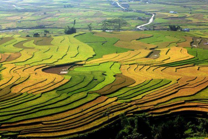 VĂN KIỆN KỲ HỌP THỨ TƯ (KỲ HỌP THƯỜNG LỆ GIỮA NĂM)