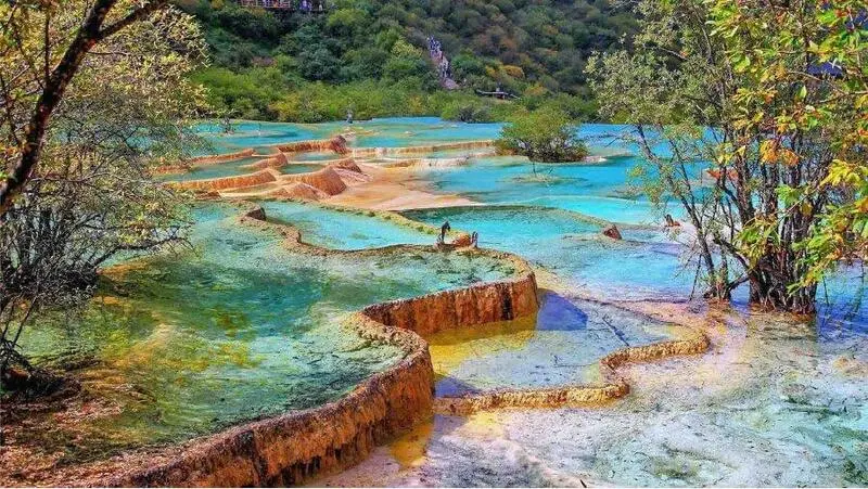 Quyết định điều chỉnh, bổ sung thành viên Ủy ban bầu cử phường Ninh Kiều nhiệm kỳ 2026 - 2031