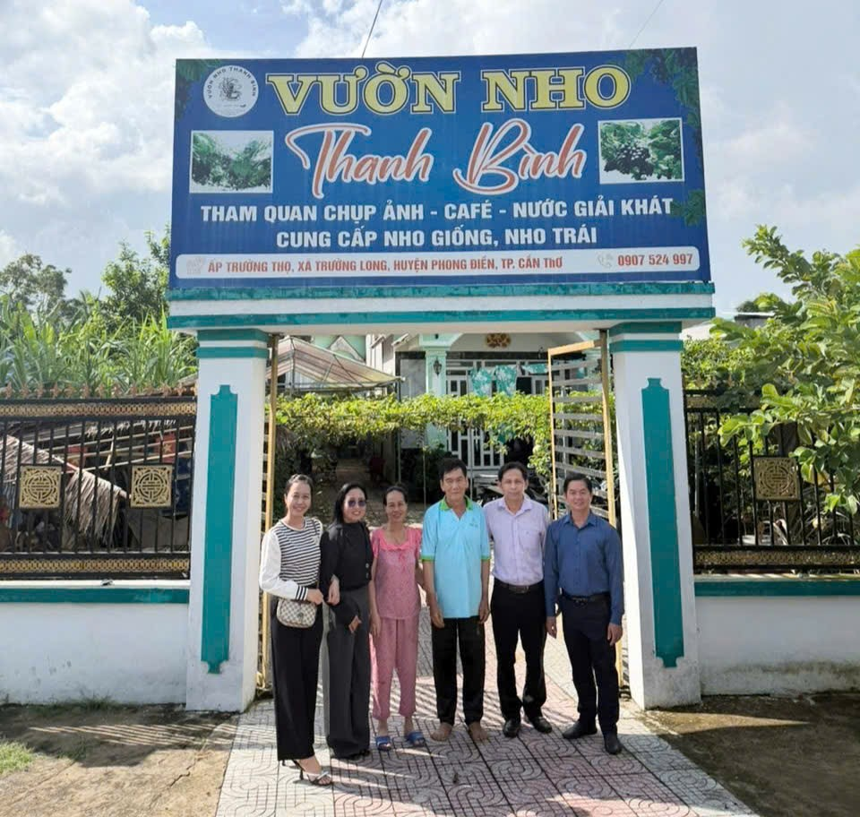 Khảo sát điểm tham quan Vườn nho Thanh Bình, định hướng phát triển du lịch nông nghiệp