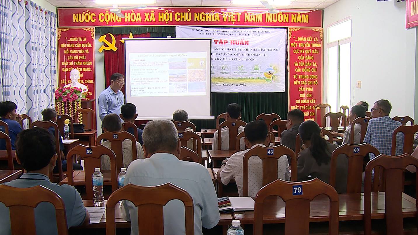 Tập huấn “các biện pháp quản lý phát thải khí nhà kính trong sản xuất lúa và các quy trình quản lý, đăng ký mã vùng trồng”