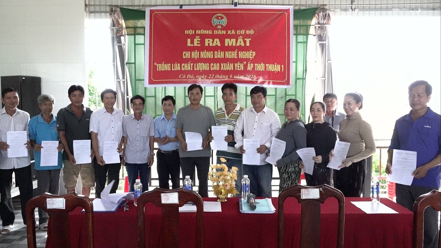 Ra mắt Chi hội Nông dân nghề nghiệp “trồng lúa chất lượng cao Xuân Yên”