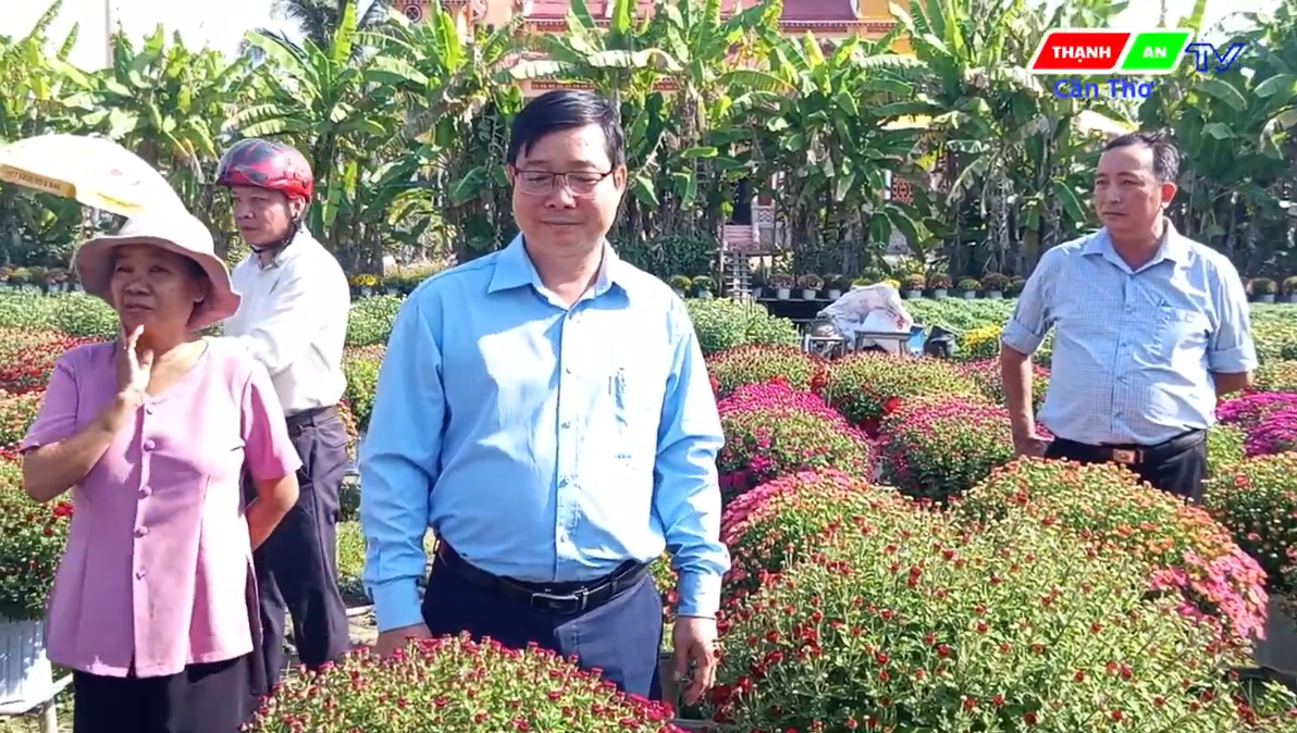Lãnh đạo UBND xã Thạnh An thăm tình hình sản xuất hoa kiểng Tết Bính Ngọ 2026