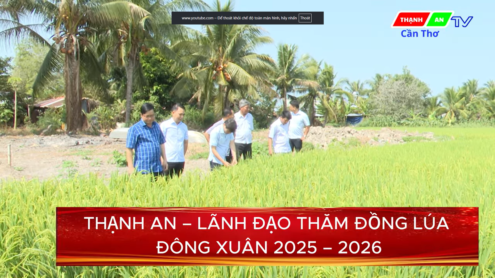 THẠNH AN - LÃNH ĐẠO THĂM ĐỒNG LÚA ĐÔNG XUÂN 2025 - 2026