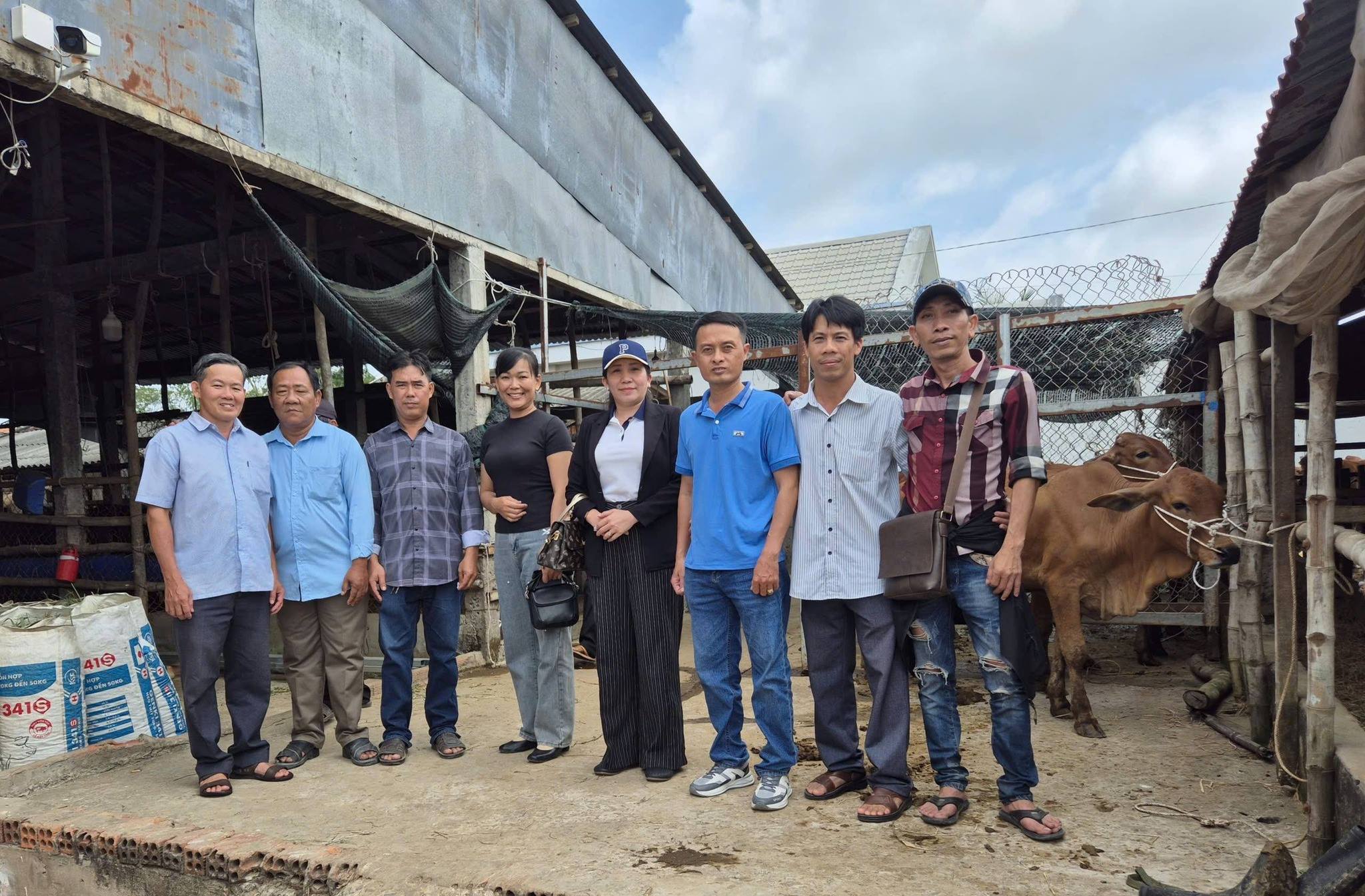 Đồng chí Cao Thúy Liên - Phó Chủ tịch Thường trực UBND xã Mỹ Tú, cùng lãnh đạo các ngành, đoàn thể và các hộ nông dân đến tham quan và nhận con giống bò sinh sản từ các chương trình mục tiêu quốc gia