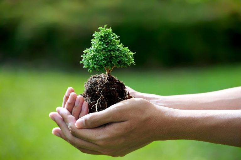 GIẢI PHÁP GIẢM THIỂU Ô NHIỄM MÔI TRƯỜNG TẠI XÃ MỸ TÚ, THÀNH PHỐ CẦN THƠ HIỆN NAY