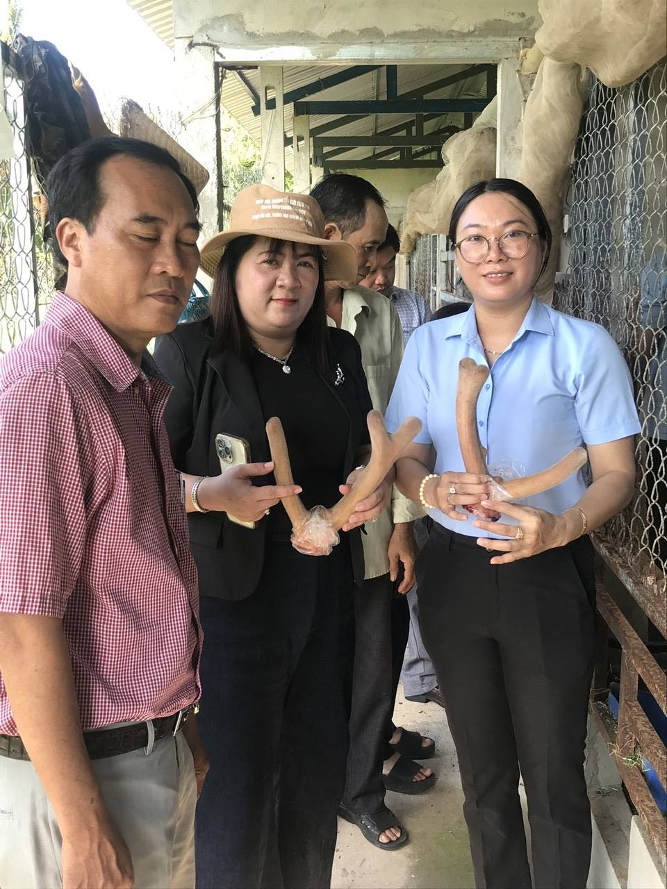 MÔ HÌNH “NUÔI HƯƠU SAO” - HƯỚNG ĐI MỚI TRONG PHÁT TRIỂN KINH TẾ TẠI XÃ LỊCH HỘI THƯỢNG