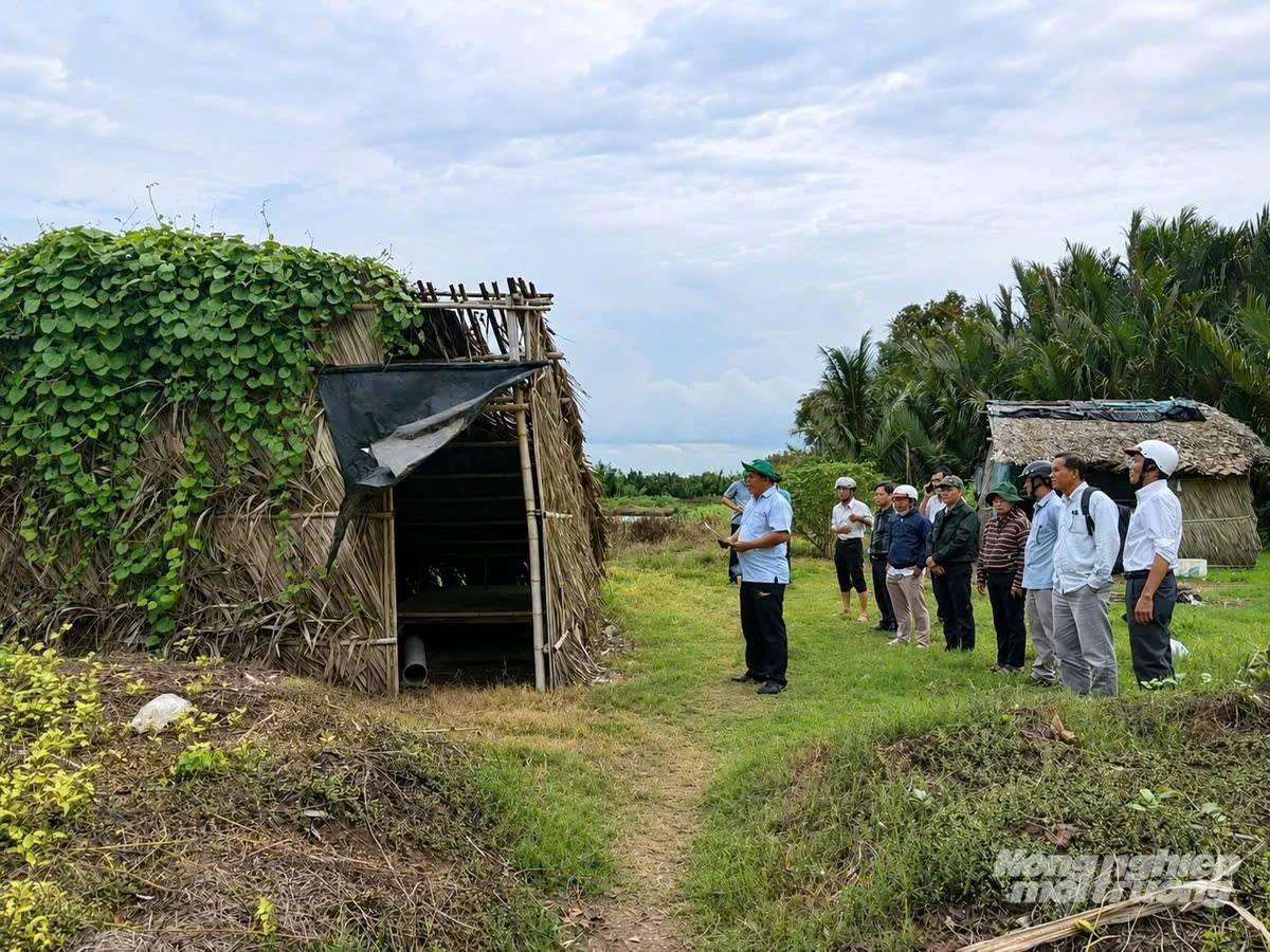 Kiên quyết xử lý hành vi dựng chòi, chiếm dụng đất công tại Nông trường 30/4