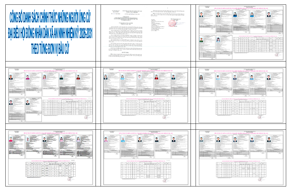 Tiểu sử tóm tắt và Danh sách những người ứng cử Đại biểu Hội đồng nhân dân xã An Ninh khóa XIII, nhiệm kỳ 2026-2031 theo từng Đơn vị bầu cử