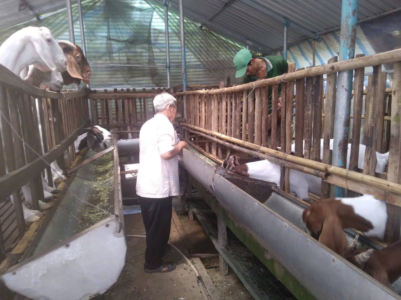 Xã Phong Nẫm tăng cường công tác phòng, chống nắng nóng và biện pháp an toàn sinh học trong chăn nuôi