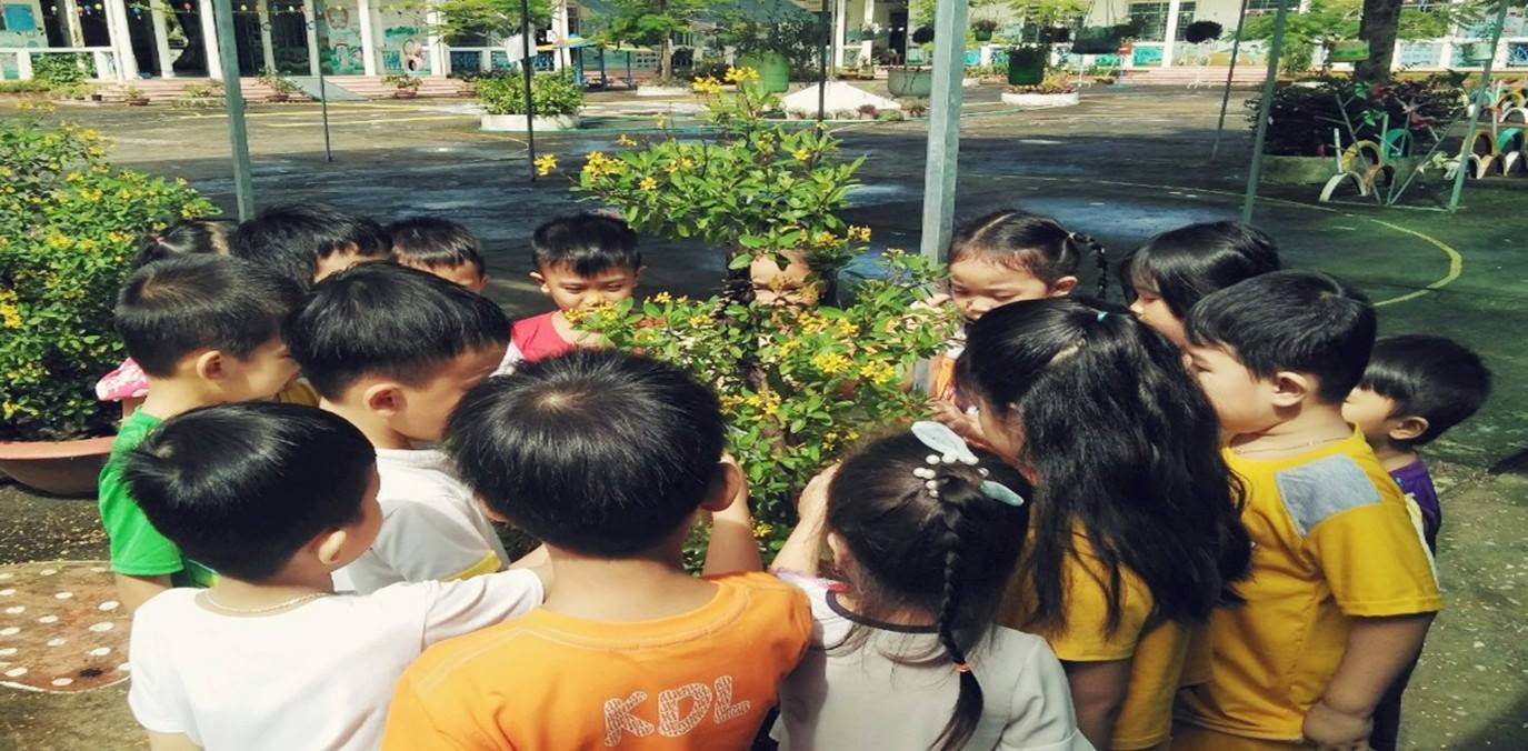 Trường mầm non Vàng Anh với mô hình Lớp học xanh - thân thiện