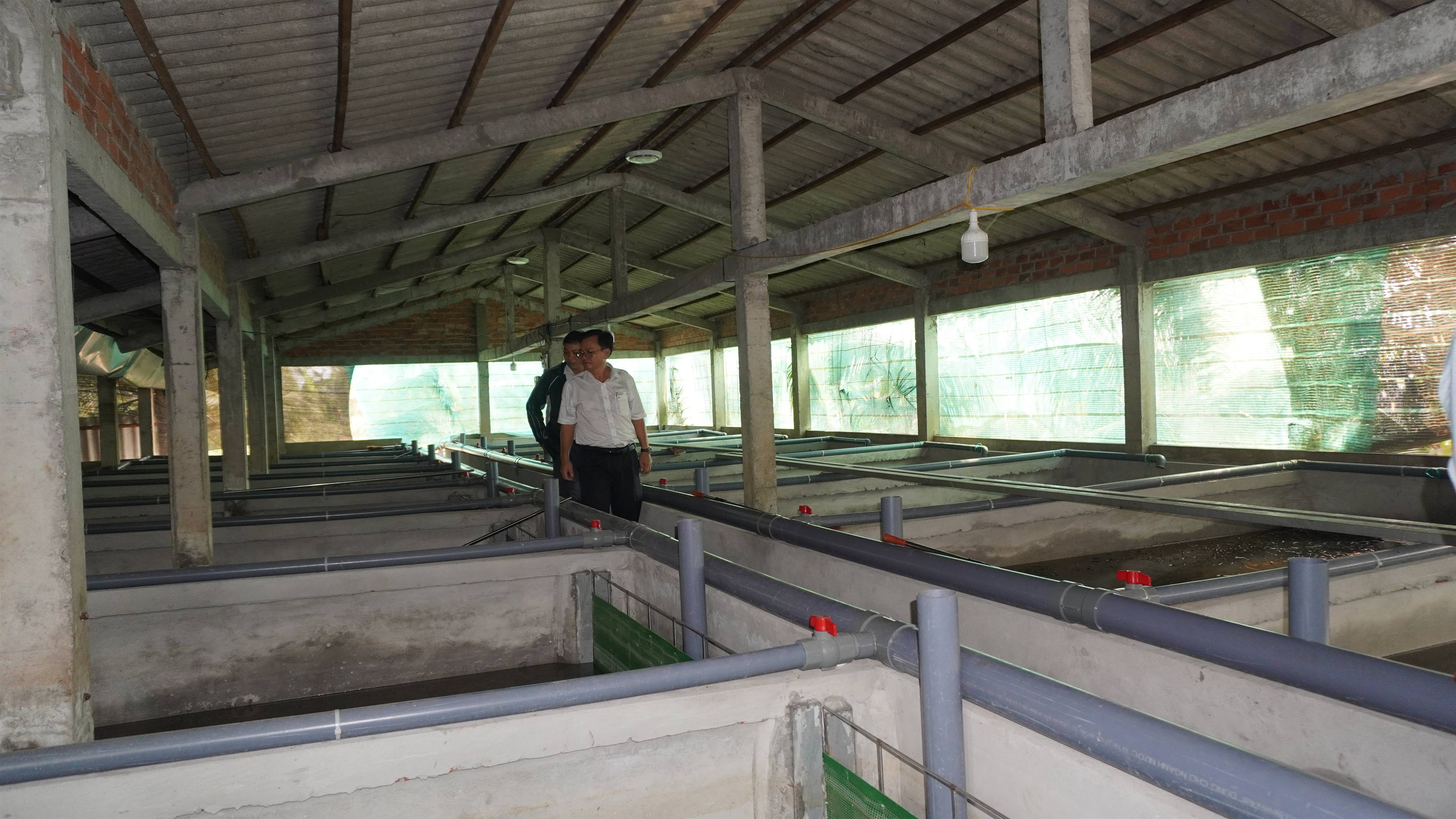 Đoàn công tác UBND phường Ngã Năm tổ chức khảo sát một số mô hình phát triển kinh tế trên địa bàn