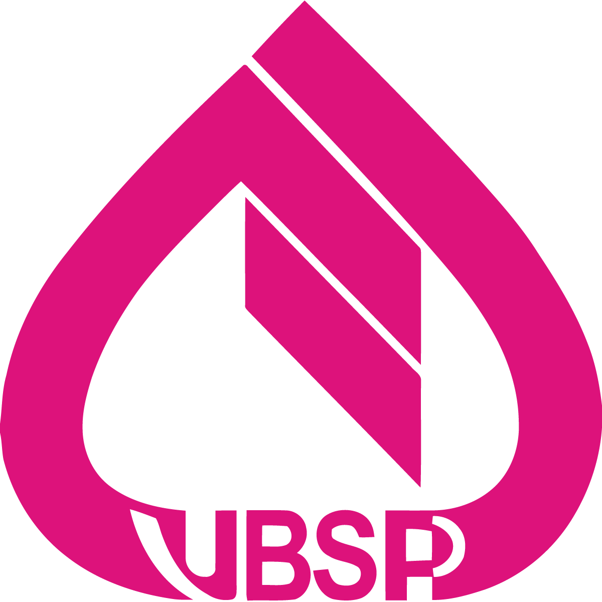 Logo VBSP