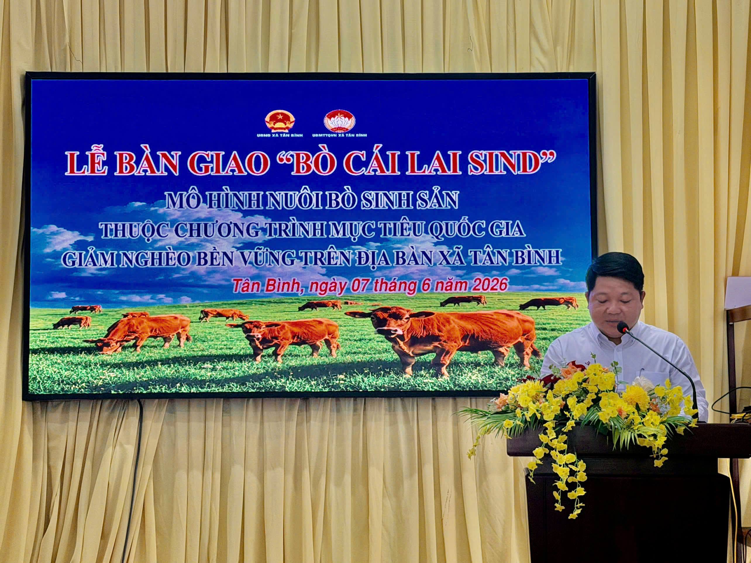 XÃ TÂN BÌNH TỔ CHỨC BÀN GIAO BÒ GIỐNG CHO HỘ NGHÈO, HỘ CẬN NGHÈO VÀ HỘ MỚI THOÁT NGHÈO