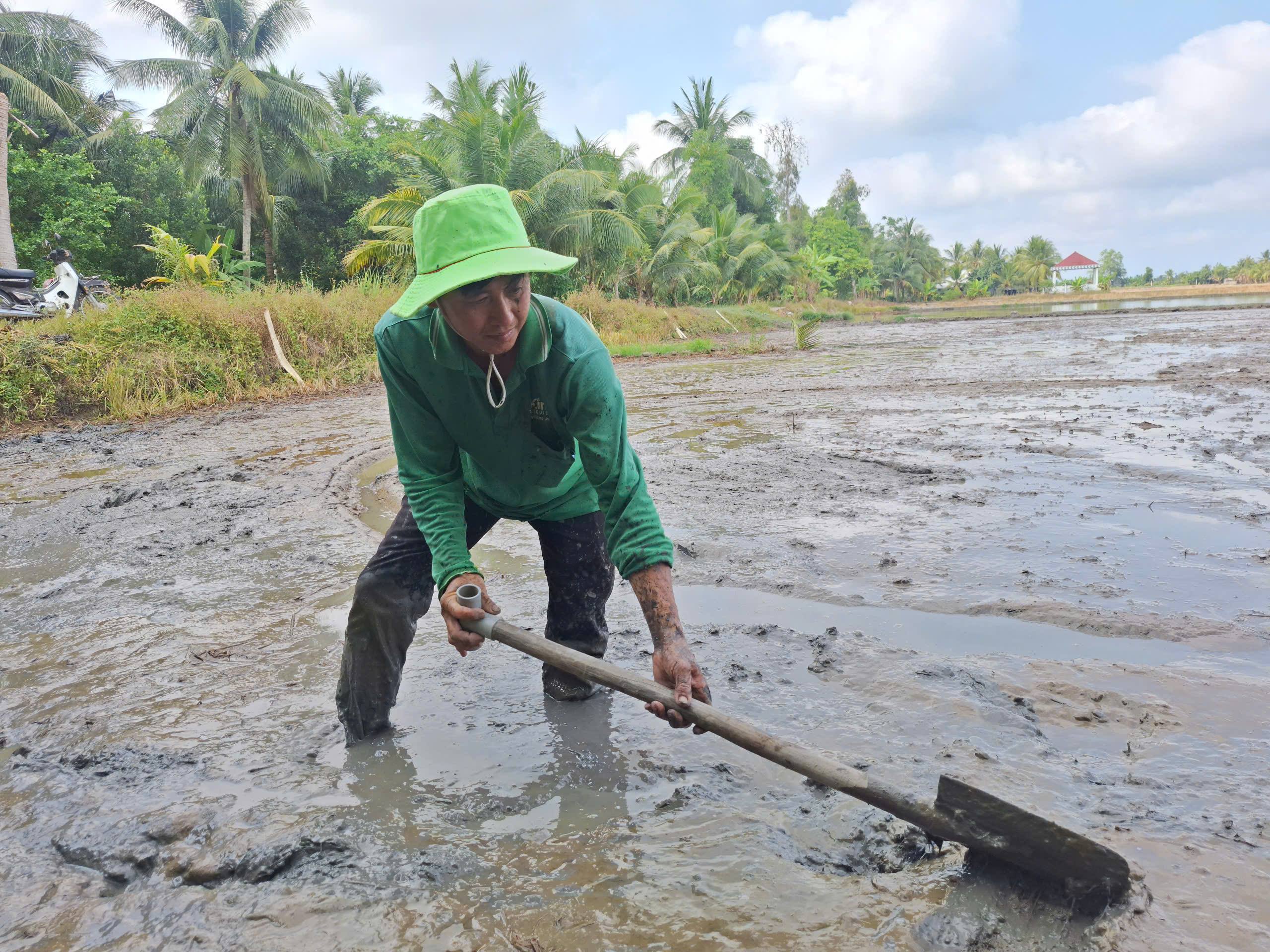 Nông dân xã Hỏa Lựu xuống giống 279 ha lúa Hè Thu năm 2026