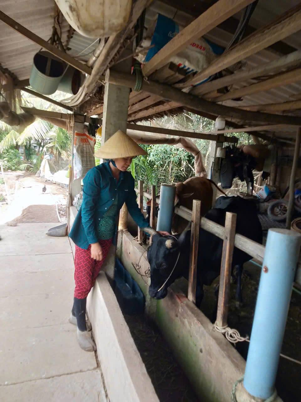 TỪ HAI BÀN TAY TRẮNG ĐẾN THU NHẬP TRĂM TRIỆU: QUẢ NGỌT TỪ ĐỒNG VỐN CHÍNH SÁCH