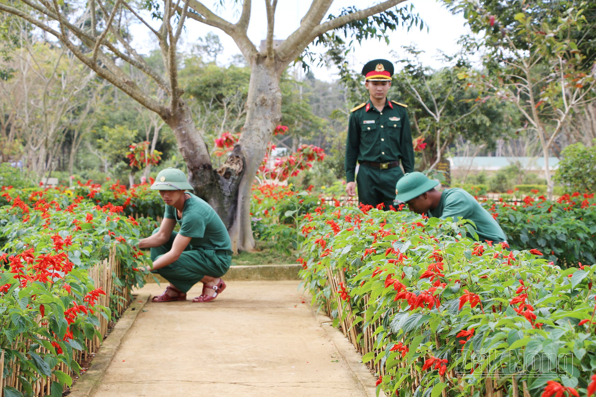 Anh-tin-bai