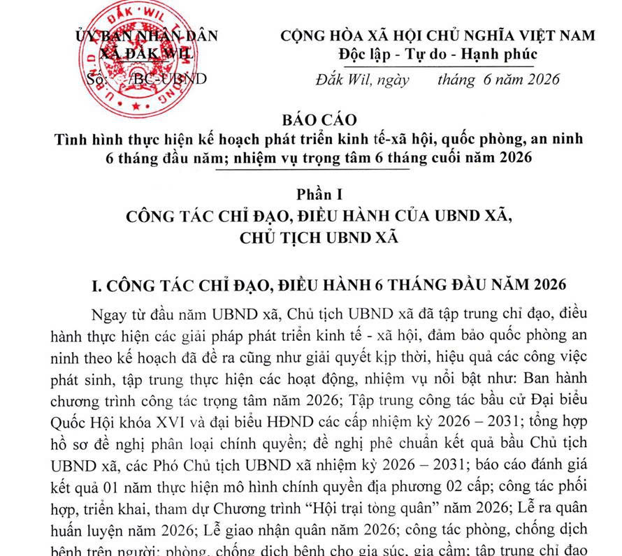 Dự thảo Báo cáo 6 tháng năm 2026