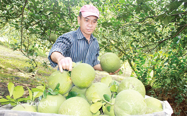 anh tin bai