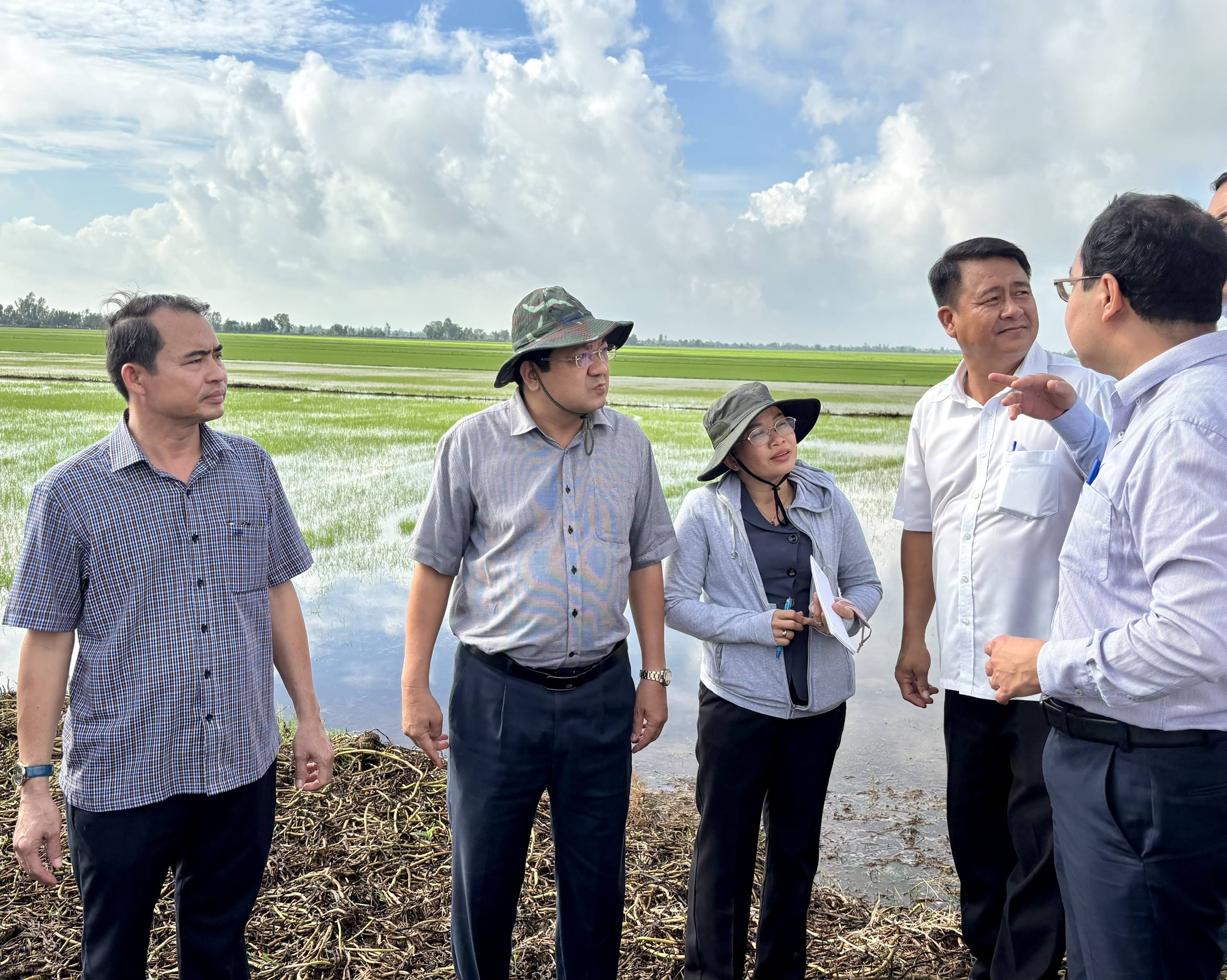 Lua X Tran Tây Ninh: Tập trung ứng phó lũ, đảm bảo an toàn cho vụ lúa Đông Xuân