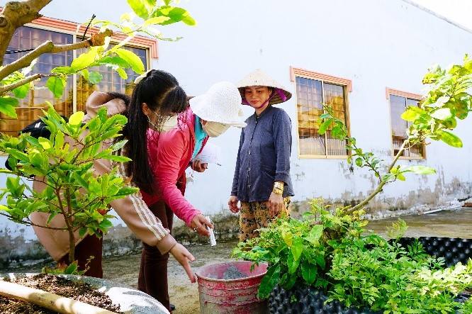 Viện Y tế công cộng Thành phố Hồ Chí Minh hỗ trợ hoạt động phòng, chống sốt xuất huyết tại tỉnh Tây Ninh