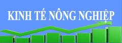 image advertisement