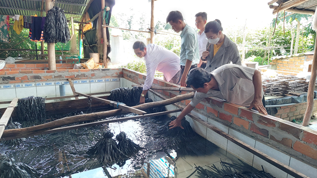 9.6.2022 Mo hinh nuoi luon khong bun mang lai hieu qua kinh te kha. hinh 2 (Copy).png