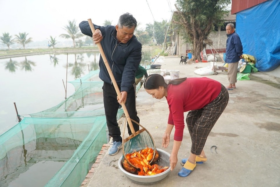 Anh-tin-bai
