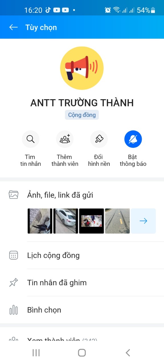Anh-tin-bai