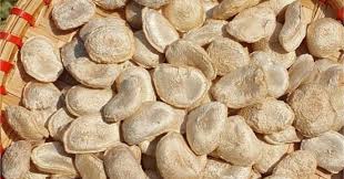 Bài tuyên truyền Cảnh báo ngộ độc khi sử dụng bột hạt sang chữa bệnh dạ dày, đại tràng