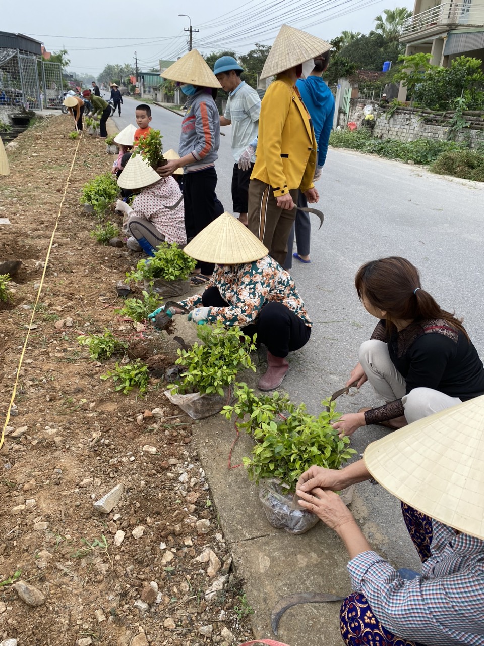 Thôn Lộc Xá, xã Quảng Long ra quân trồng cây xanh dọc tuyến đường trung tâm và nhà văn hóa thôn