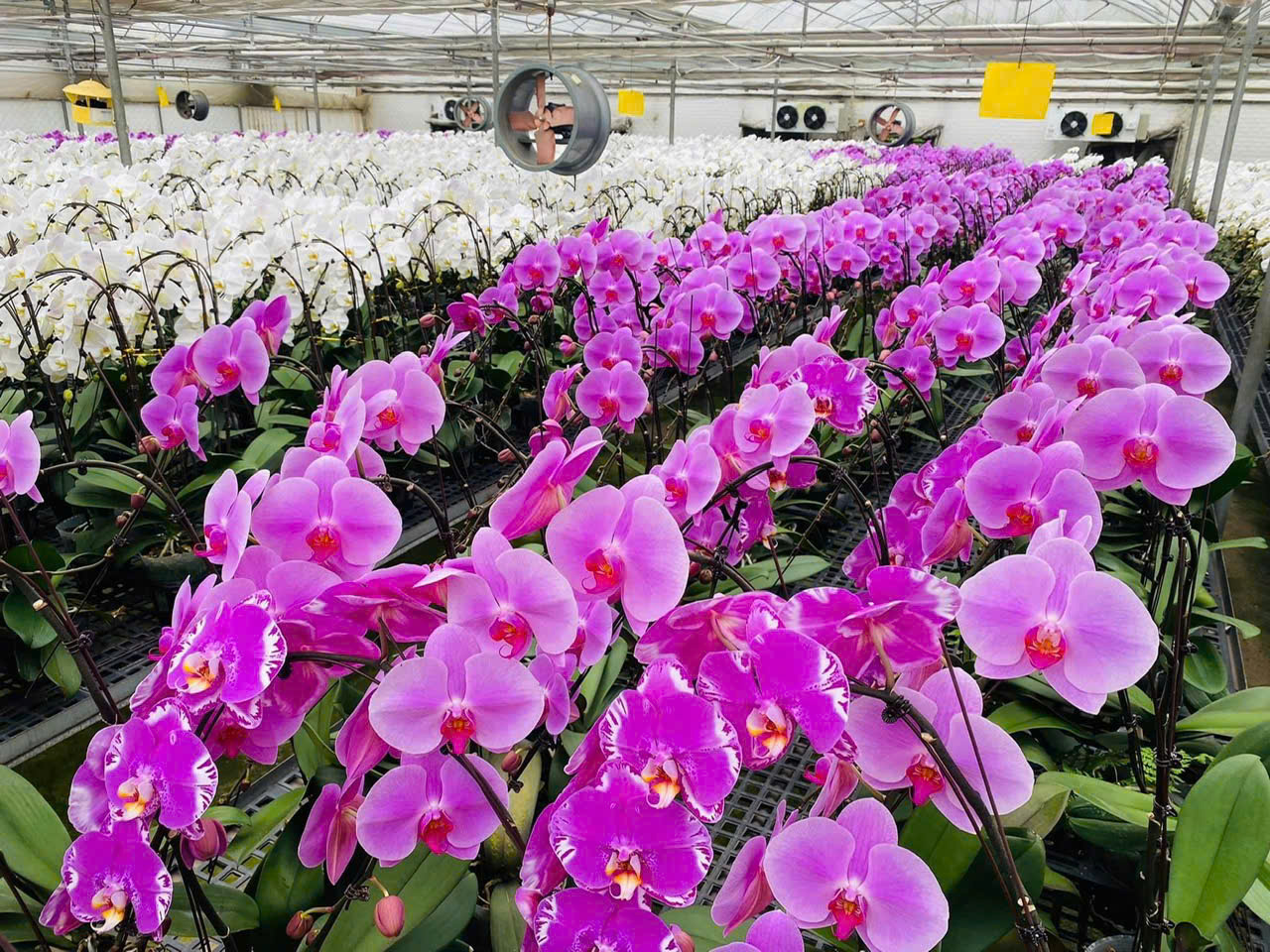 Hội dồng Nhân Dân Đông Tiến tiếp  xúc cử tri tại các tổ trước kỳ họp cuối năm 2024