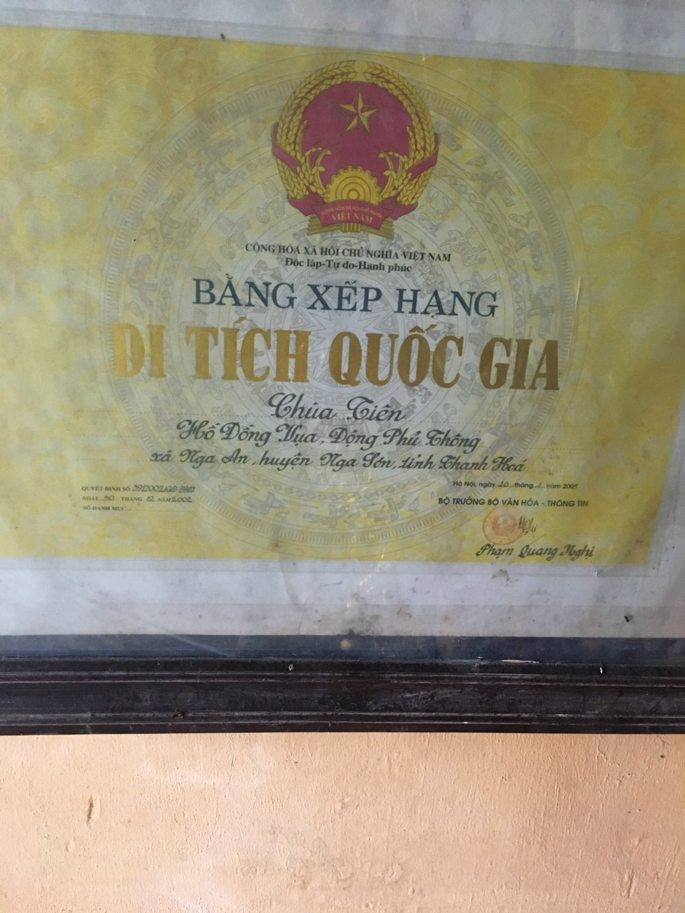 Phủ thông.jpg
