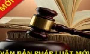 Luật hôn nhân và gia đình