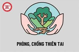 Tuần lễ Quốc gia phòng, chống thiên tai năm 2025 với chủ đề “Cộng đồng bền vững, thích ứng thiên tai”