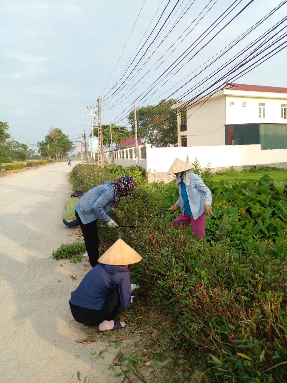 ảnh 5.jpg