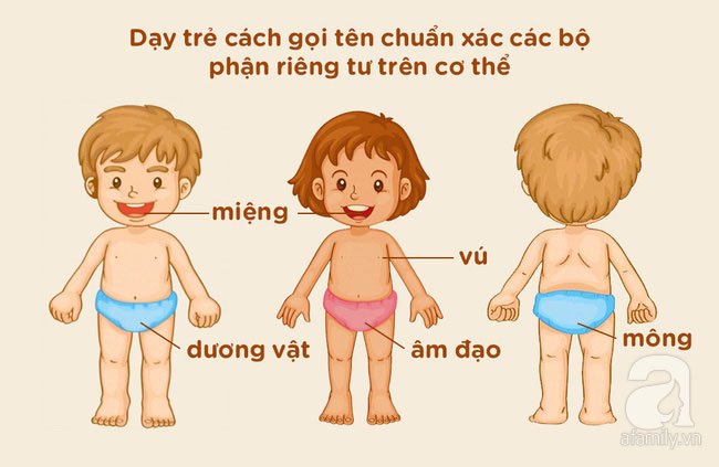 Dạy trẻ về giới tính và các vùng nhạy cảm trên cơ thể