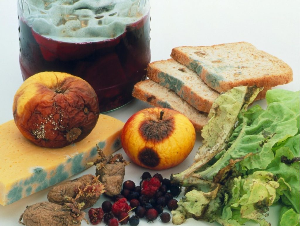 Đảm bảo vệ sinh an toàn thực phẩm mùa nồm ẩm